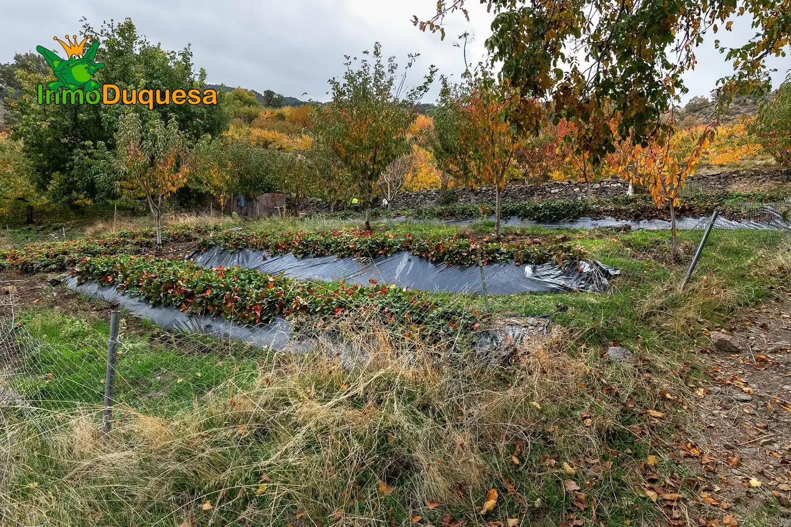 Casa rústica en venda a Güéjar Sierra, imagen 19