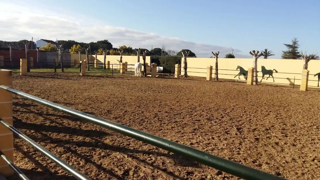 Xalet amb piscina en venda a Parque de la Constitución 5a, imagen 23