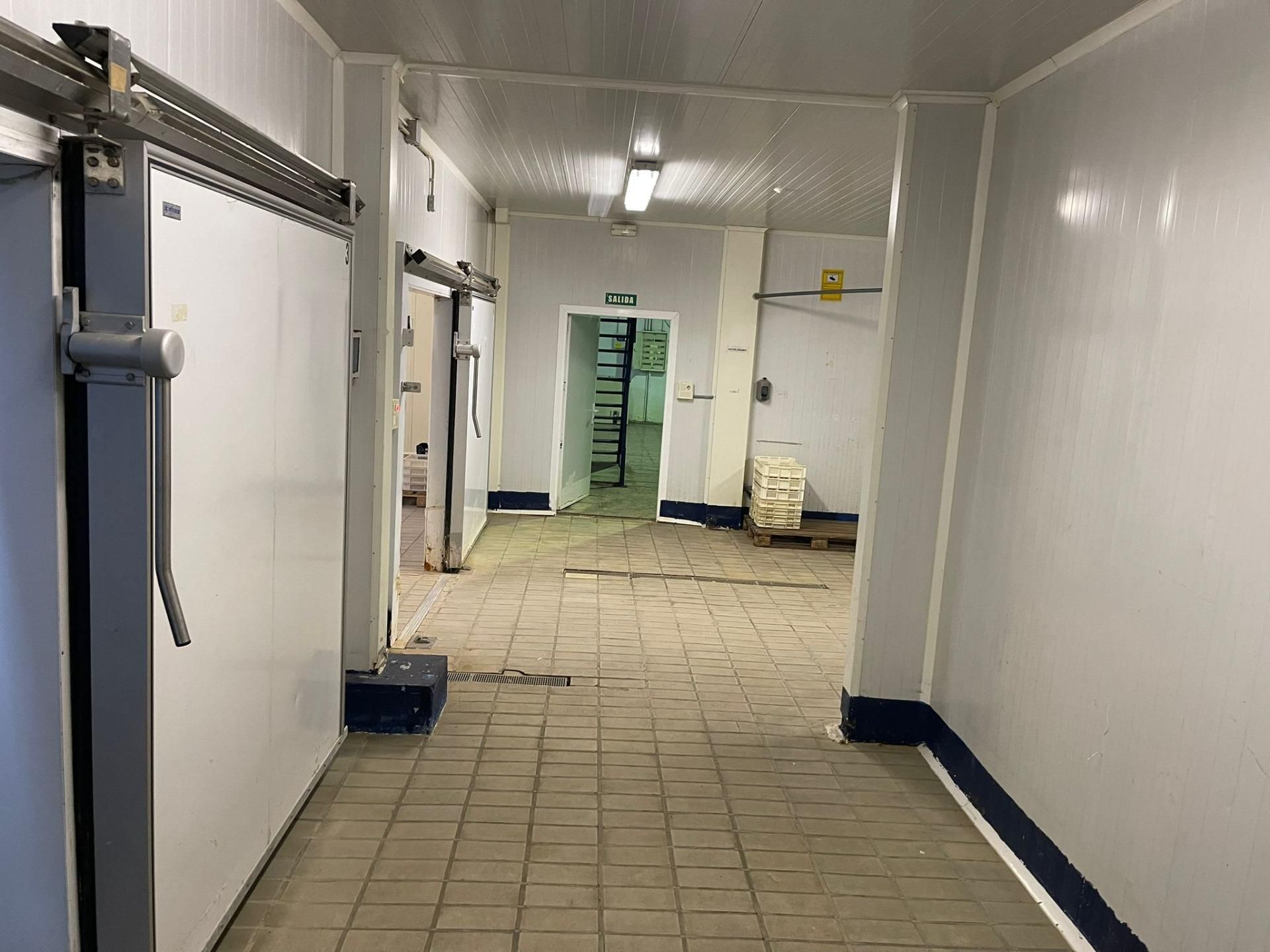 Industrial buildings for sale in Riba-roja de Túria