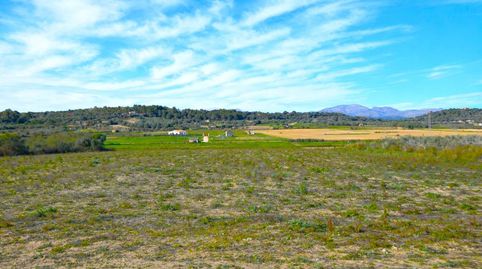 Finca rústica con posibilidad de construir una vivienda en Muro.