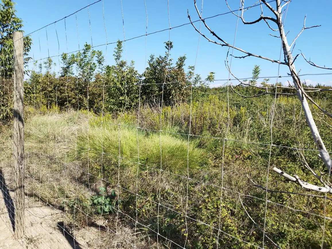 Finca rústica en venta en Puigverd de Lleida