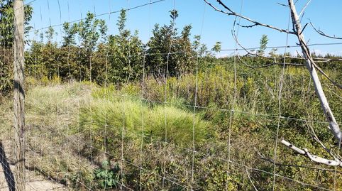Foto 5 de Finca rústica en venta en Puigverd de Lleida, Lleida