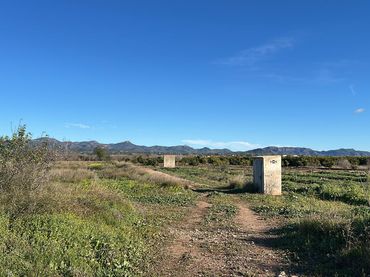 Terreno rustico in vendita a Los Pinares - La Masia