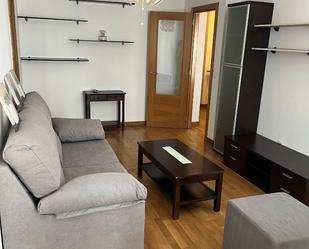 Sala d'estar de Pis de lloguer en Pontevedra Capital  amb Calefacció, Parquet i Moblat