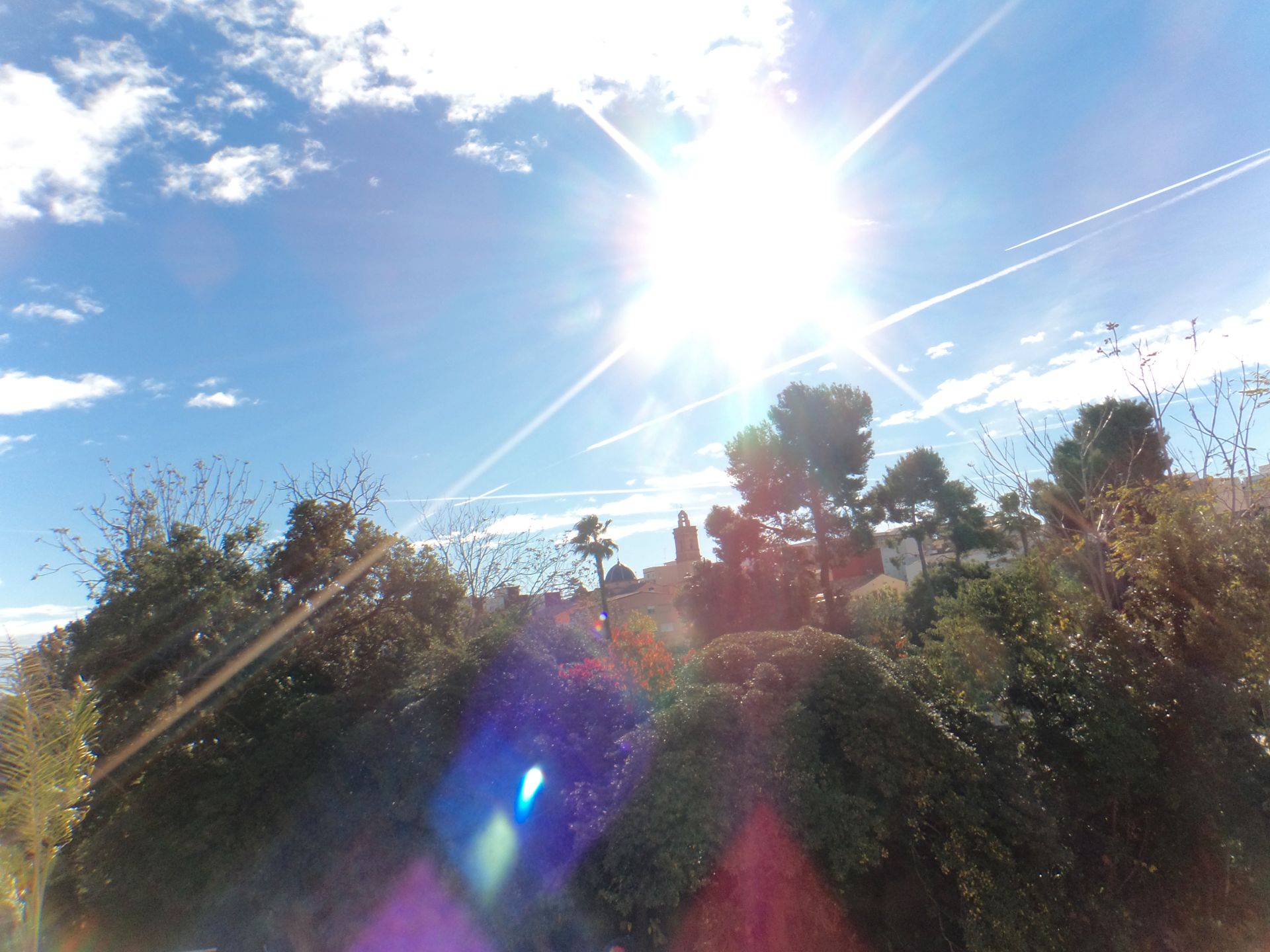 Jardí de Casa adosada en venda en Godella amb Jardí privat