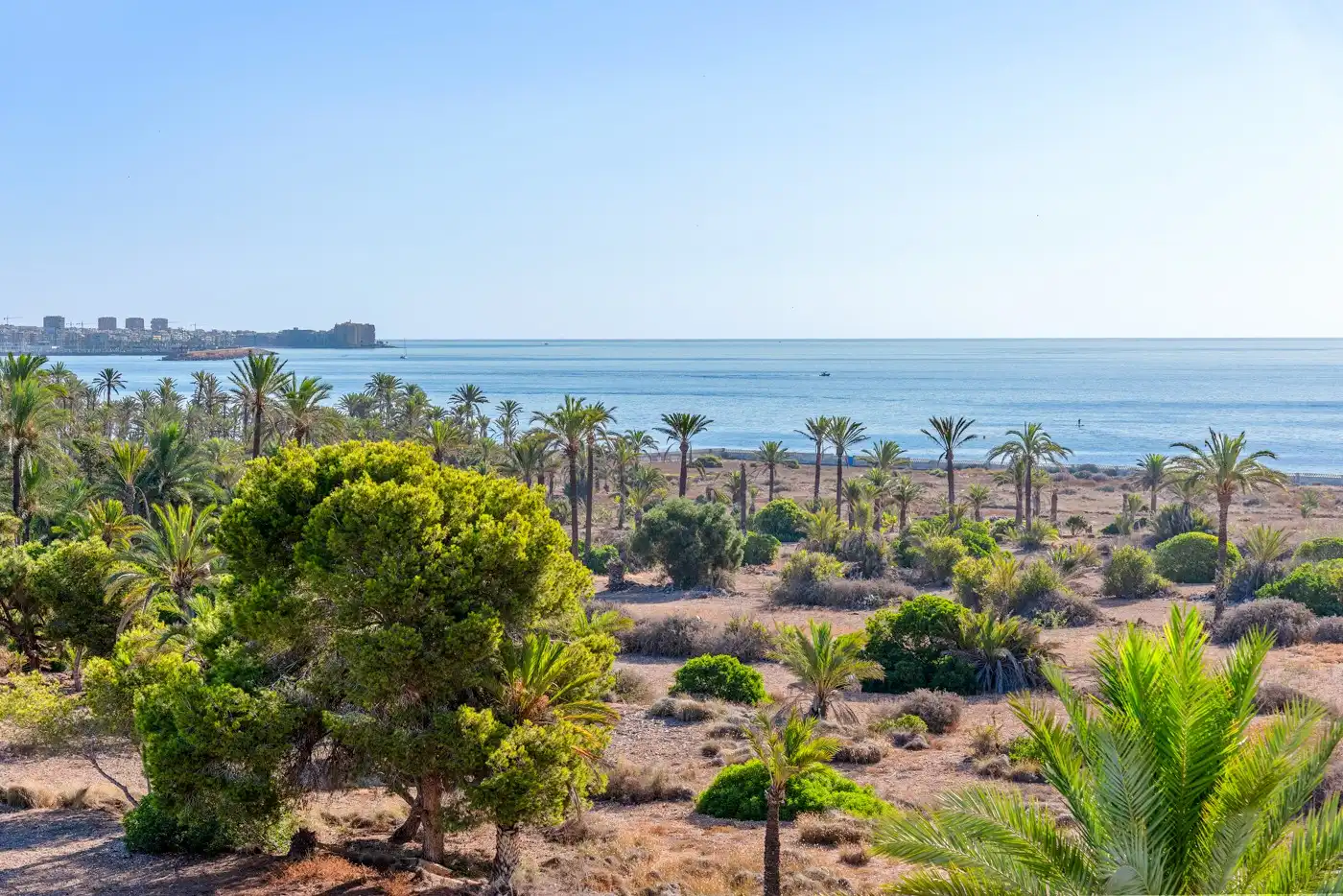 Wohnung mit Pool zum Verkauf in Playa del Acequión, Náufragos y Rocío del Mar, imagen 21