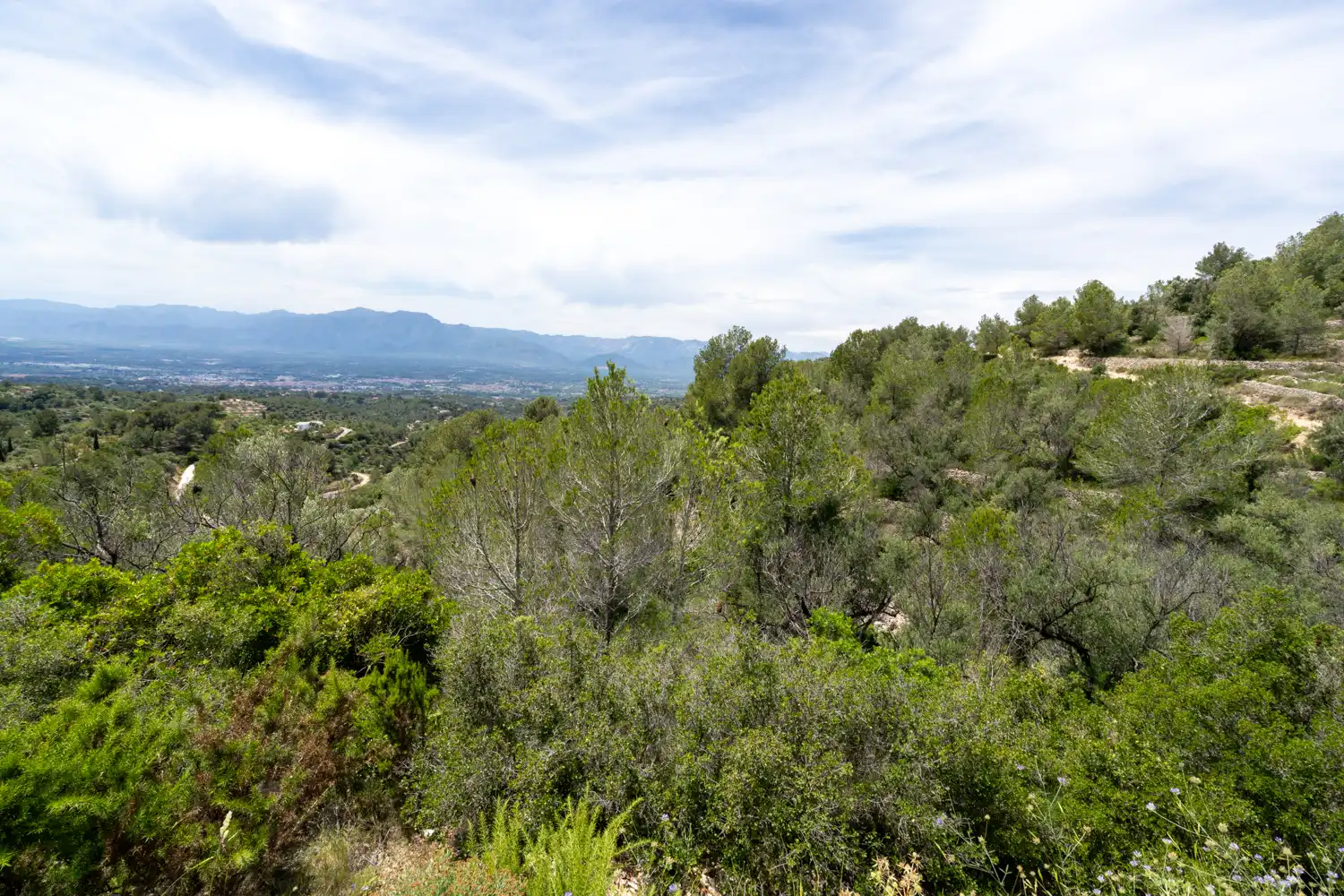 Terrain rustique à vendre à Camí dels Corrals de la Riba 9
