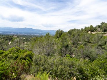 Terrain rustique à vendre à Camí dels Corrals de la Riba 9