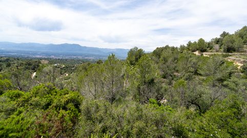 Finca rústica sin edificación y bonitas vistas