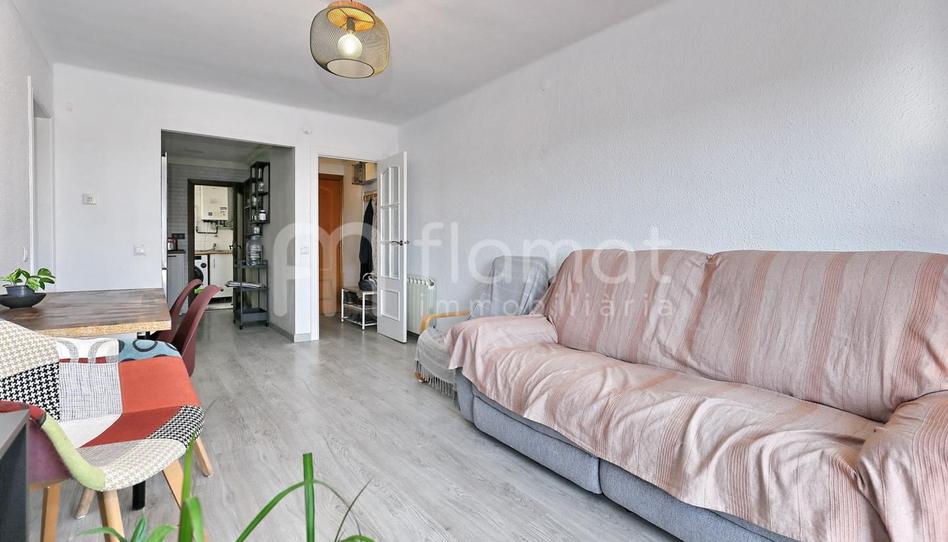 Foto 1 de Piso en venta en Carrer de Sant Daniel, Sant Ramón, Barcelona