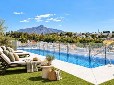 Mini appartamento con piscina in affitto a QUEVEDO 8