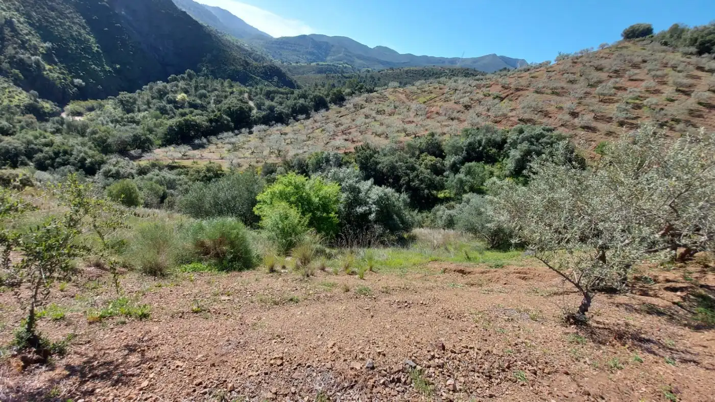 Terreni e lotti in vendita a Monda, imagen 4