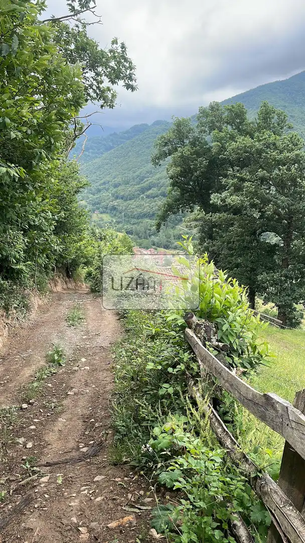 Lands and plots for sale in Aller - P.Valle s/n, imagen 6