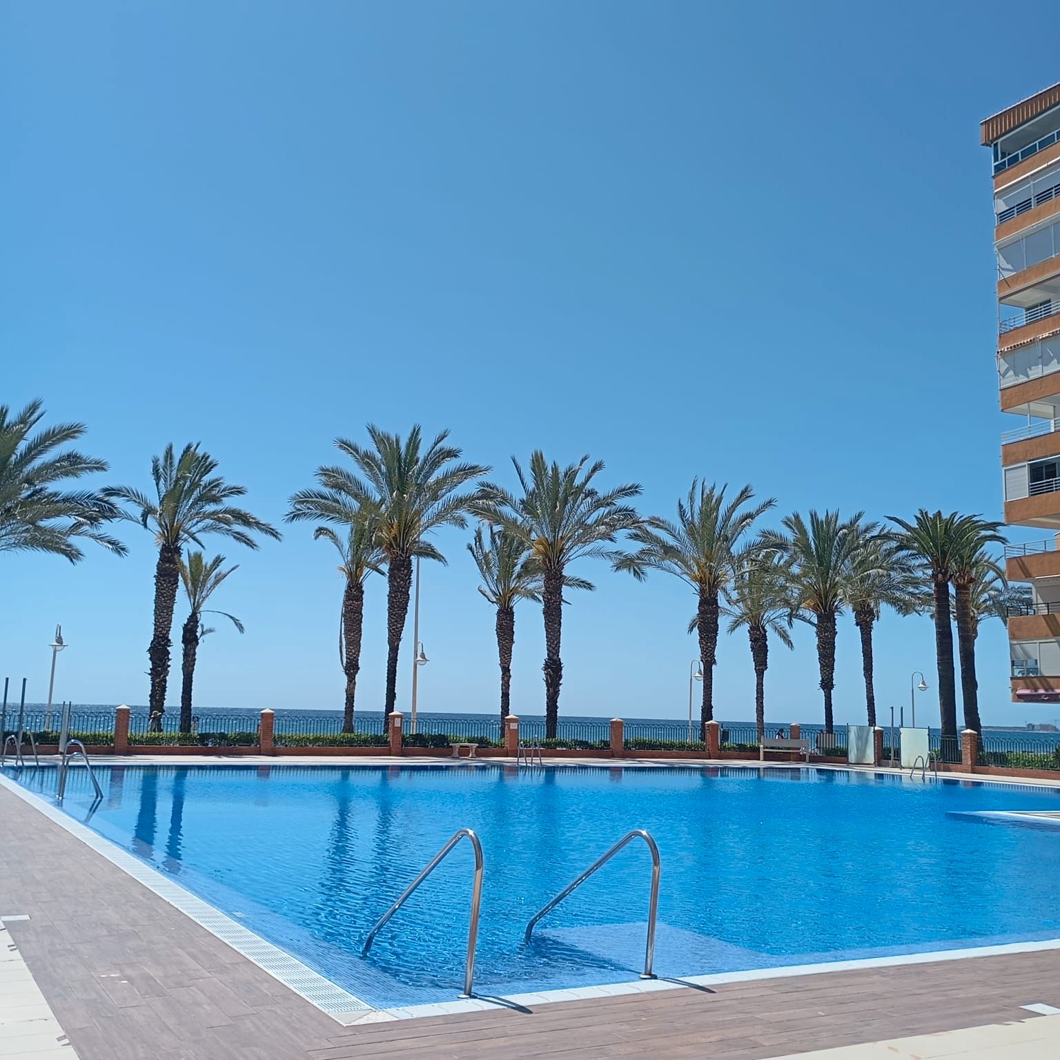 Swimming pool of Study for sale in Algarrobo  with Air Conditioner, Heating and Private garden