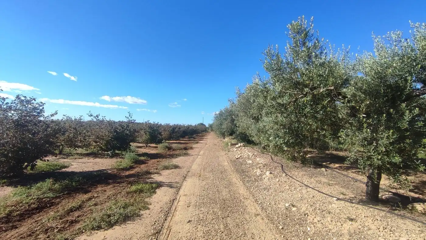 Finca rústica en venda en Constantí amb Jardí privat, Terrassa i Moblat