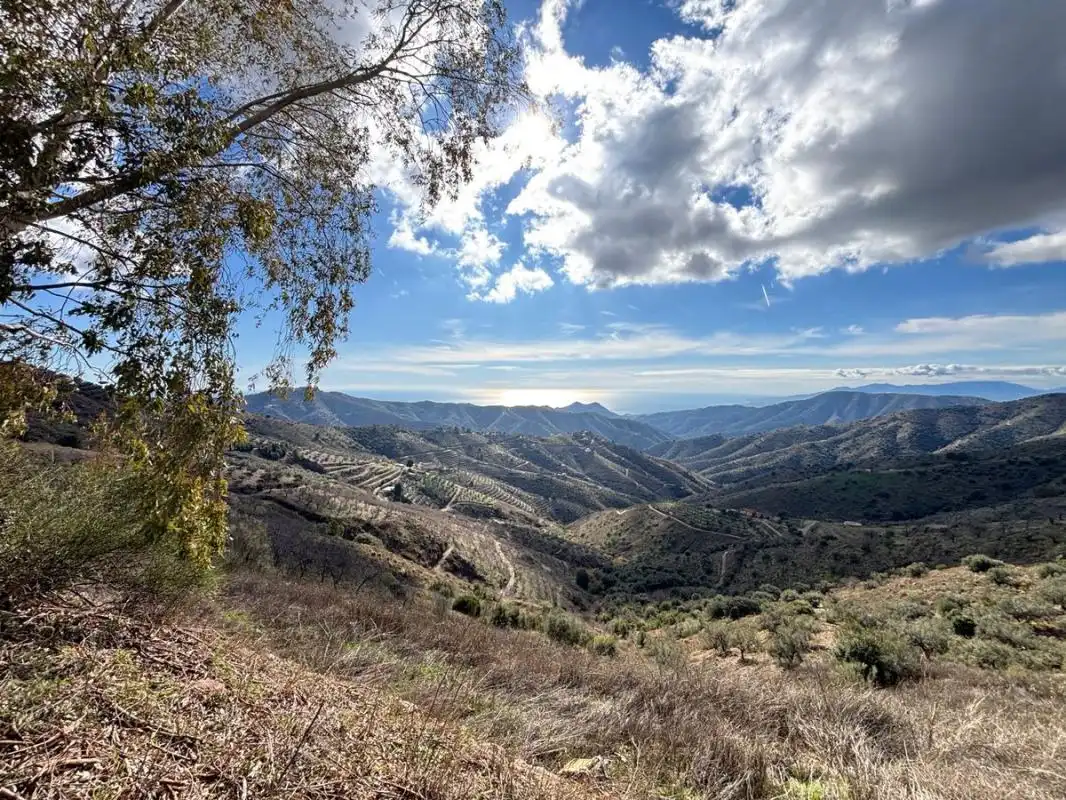 Terreni e lotti in vendita a Cam. Altos de Jaboneros, imagen 15