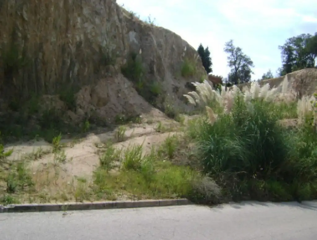 Rural land for sale in c/ avellaner