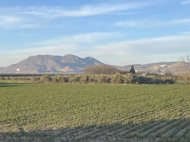 Finca rústica en venda en Vegas del Genil