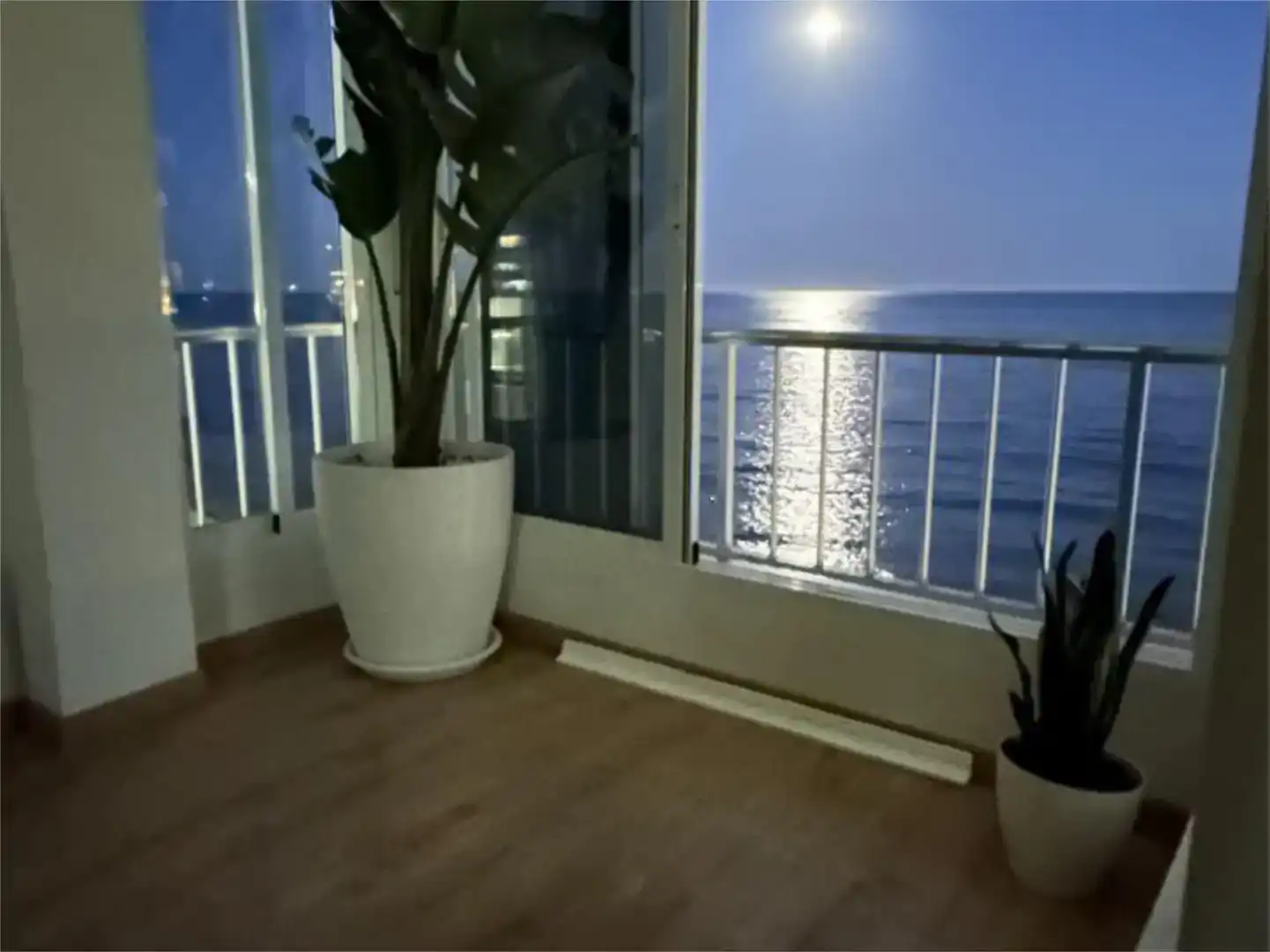 Balcony of Flat for rent in Playa Muchavista