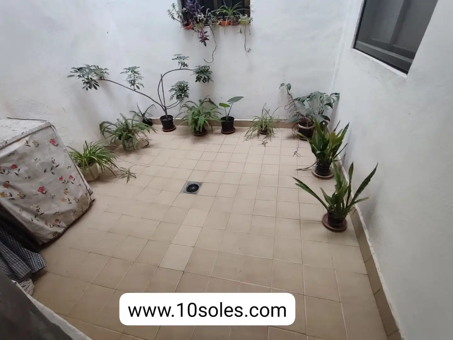 Flat for rent in Orihuela ciudad
