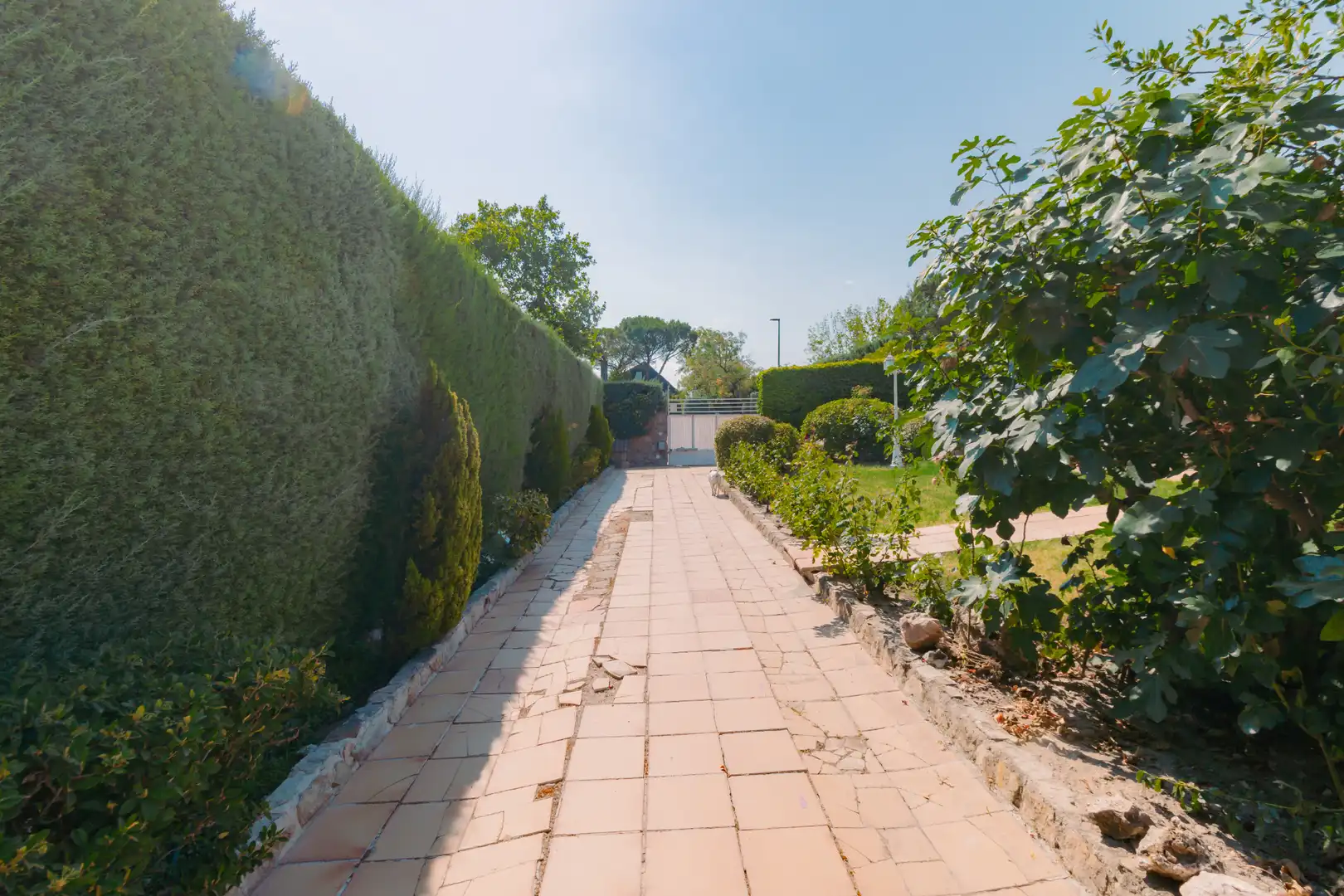 Casa o xalet en venda en Las Rozas de Madrid amb Calefacció, Jardí privat i Parquet