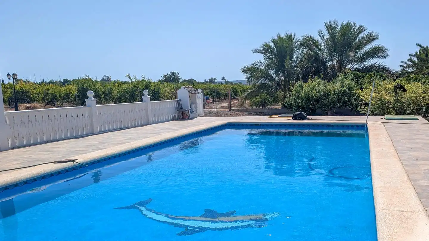 Piscina de Casa o xalet en venda en Elche / Elx amb Aire condicionat, Jardí privat i Terrassa