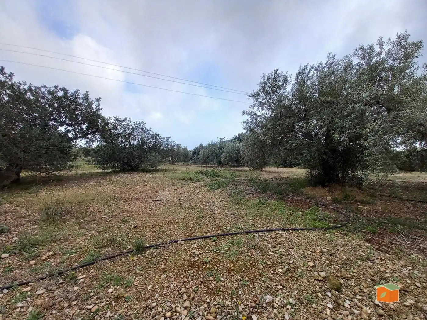 Terreno rustico in vendita a Alcanar, imagen 2