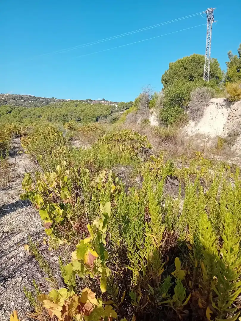 Terreno residencial en venta en Teulada, imagen 2