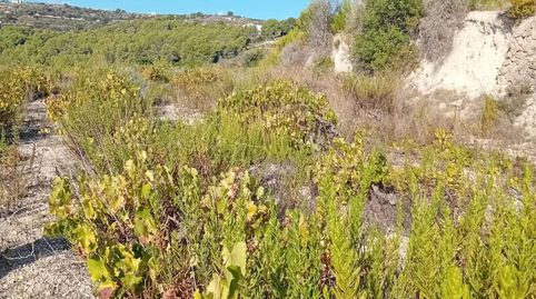 Preciosa Finca en Moraira, immagine 2