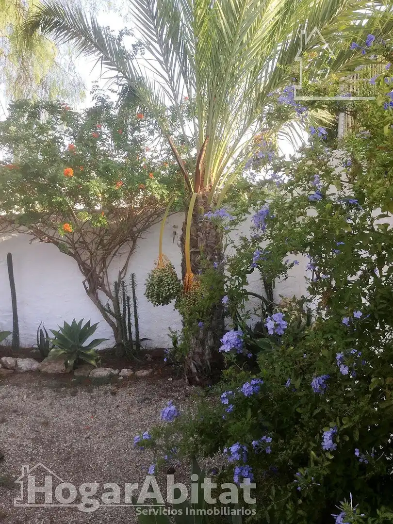 Casa amb jardí en venda a Calle BEATO GINES CESPEDES (FP), imagen 52
