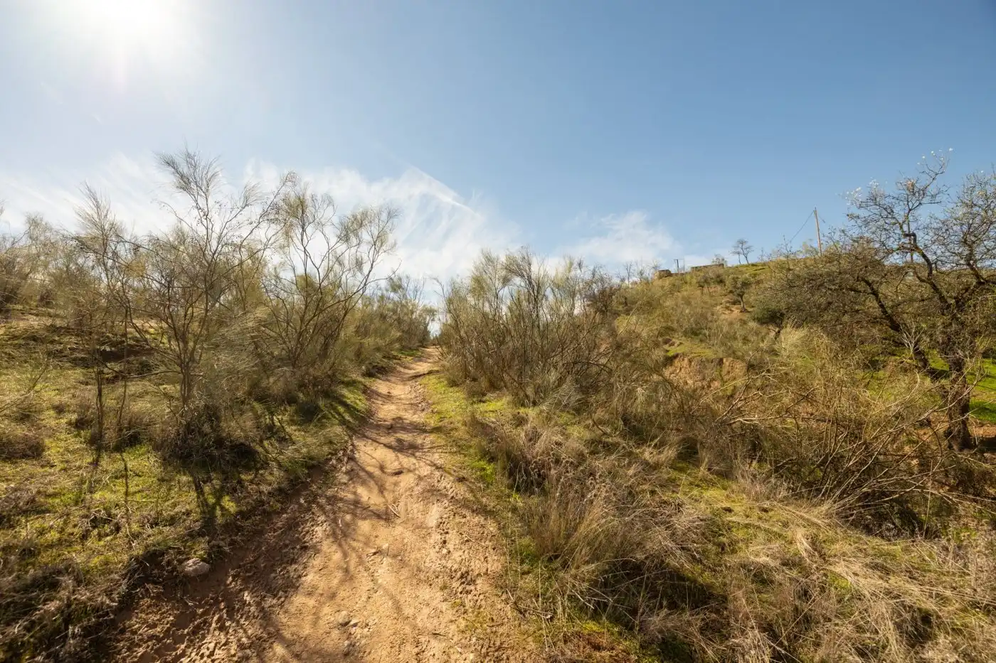 Country house for sale in Albaicín, imagen 27