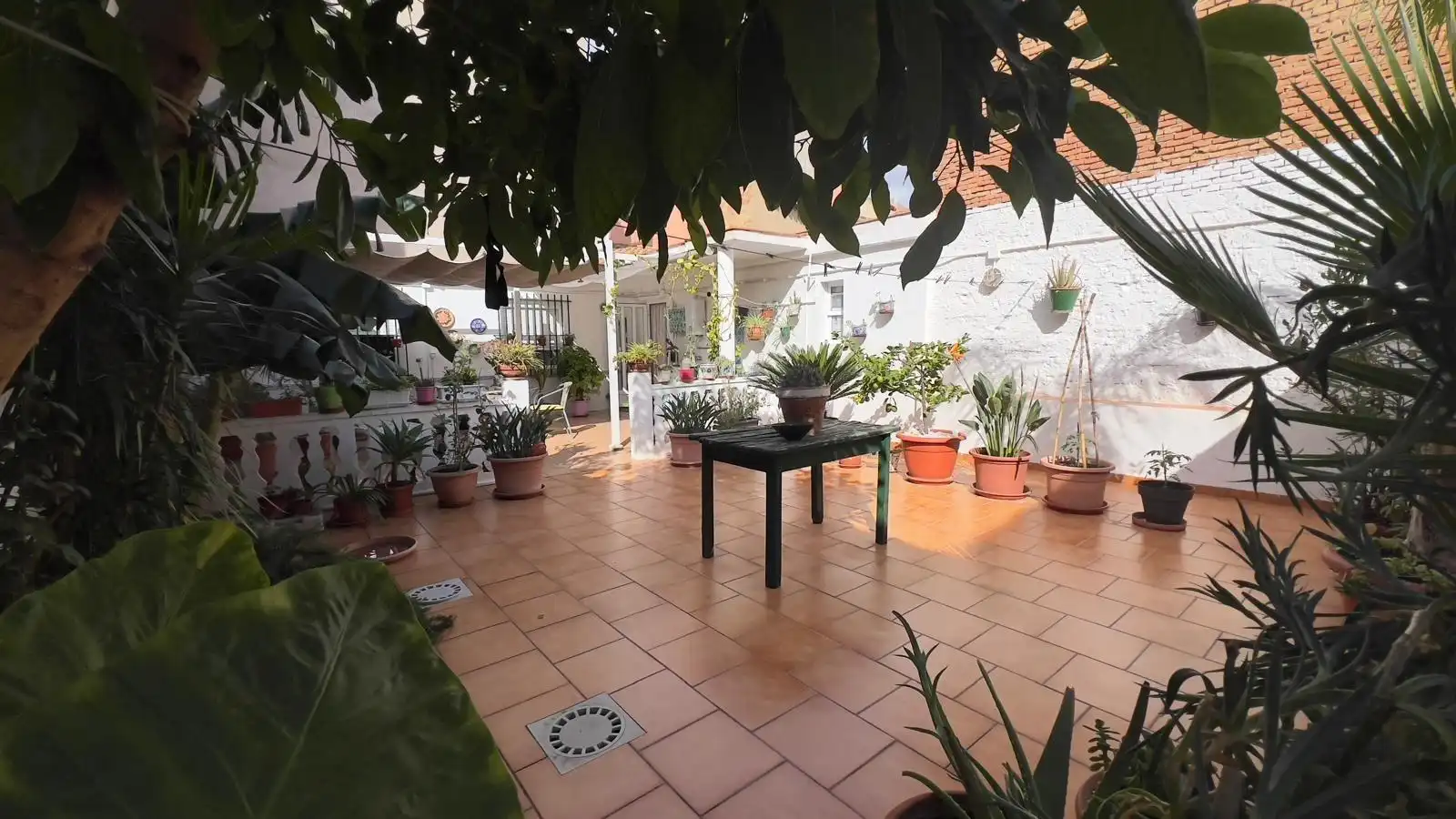 Jardín de Casa o chalet en venta en Aldaia con Aire acondicionado, Jardín privado y Terraza