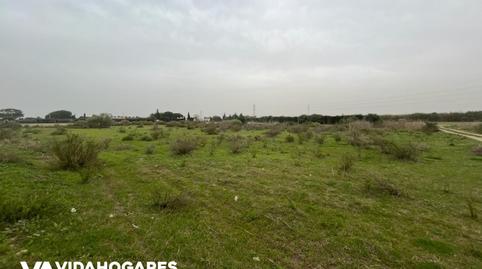 Foto 2 de Finca rústica en venda a Norte - Blanca Paloma, Rota