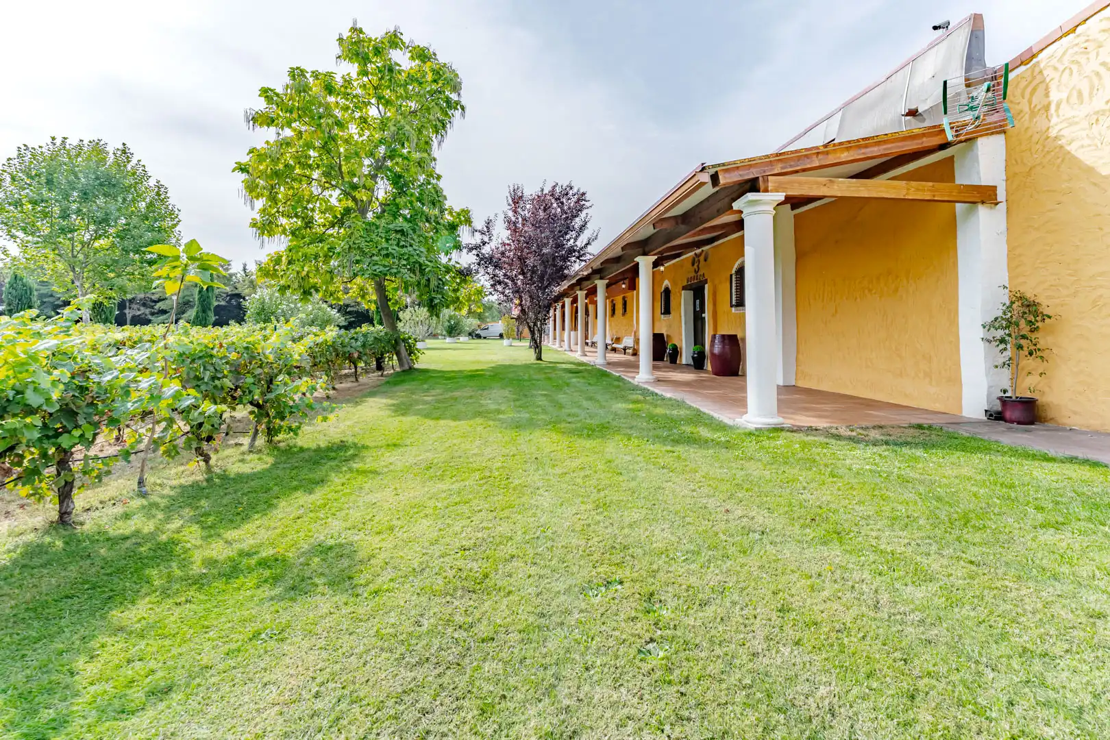 Jardín de Edificio en venta en Laguna de Duero