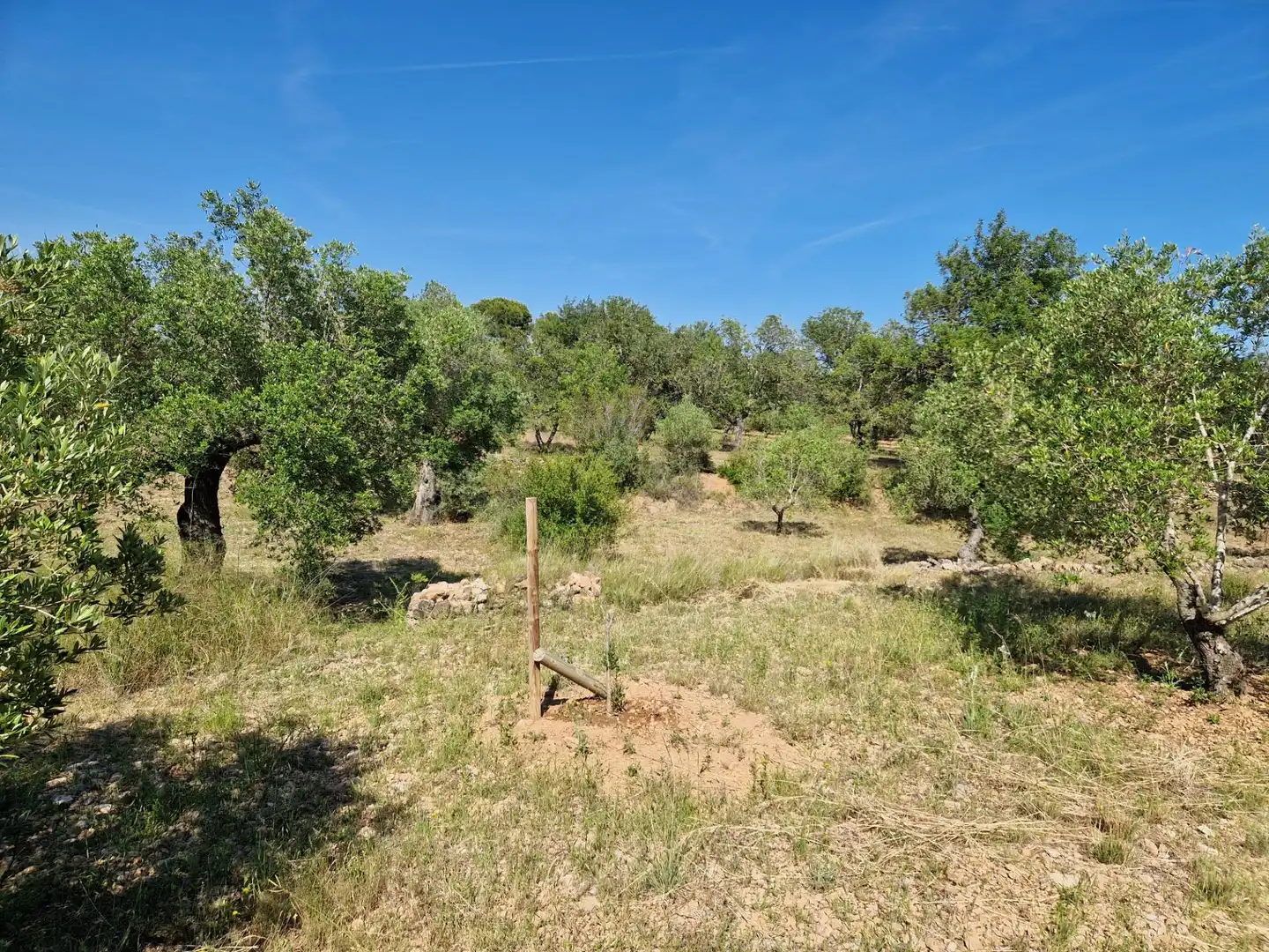 Rustikales Grundstück zum Verkauf in Poble, imagen 8