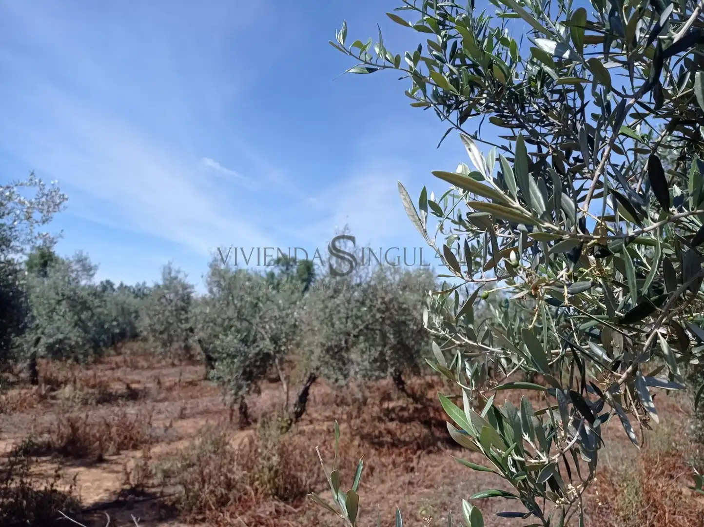 Rural land for sale in La Paz, imagen 6