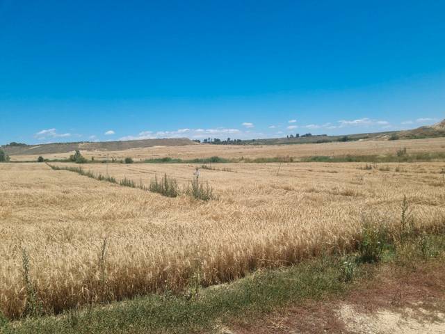 Terreno en Venta en N/A, -1 en Monzalbarba