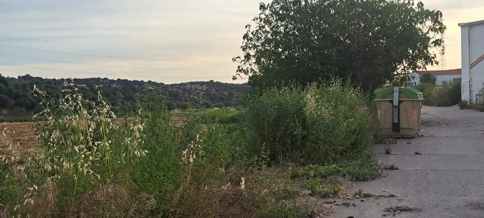Land for sale in El Puente del Arzobispo
