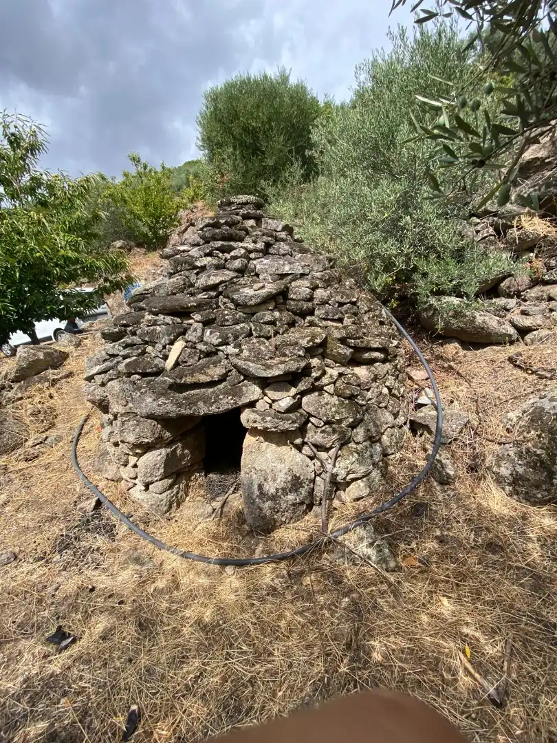 Terrain rustique à vendre à N/A, imagen 18
