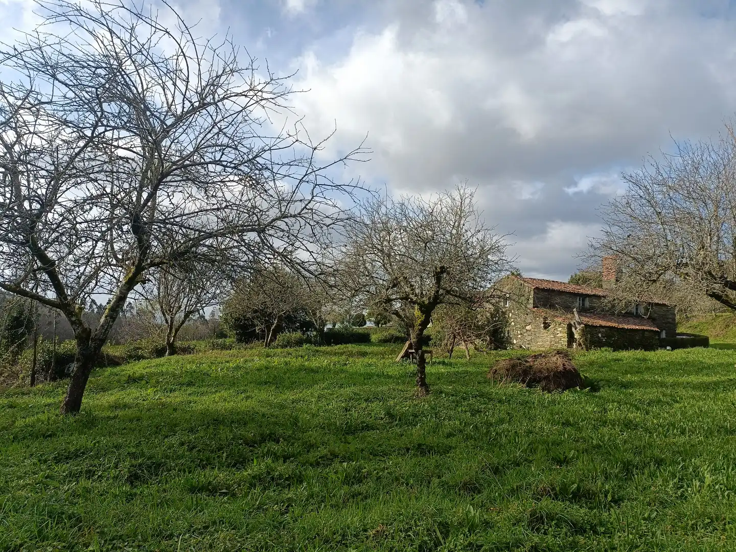Casa o xalet en venda en Cesuras amb Jardí privat