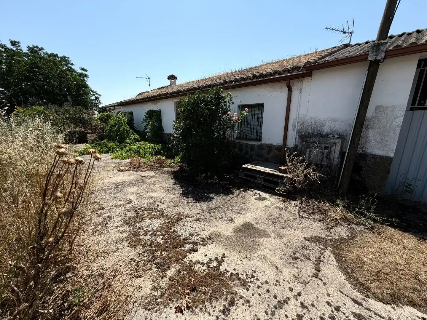Vista exterior de Finca rústica en venda en Calera y Chozas