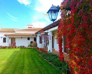 Garden of Premises for sale in Cózar