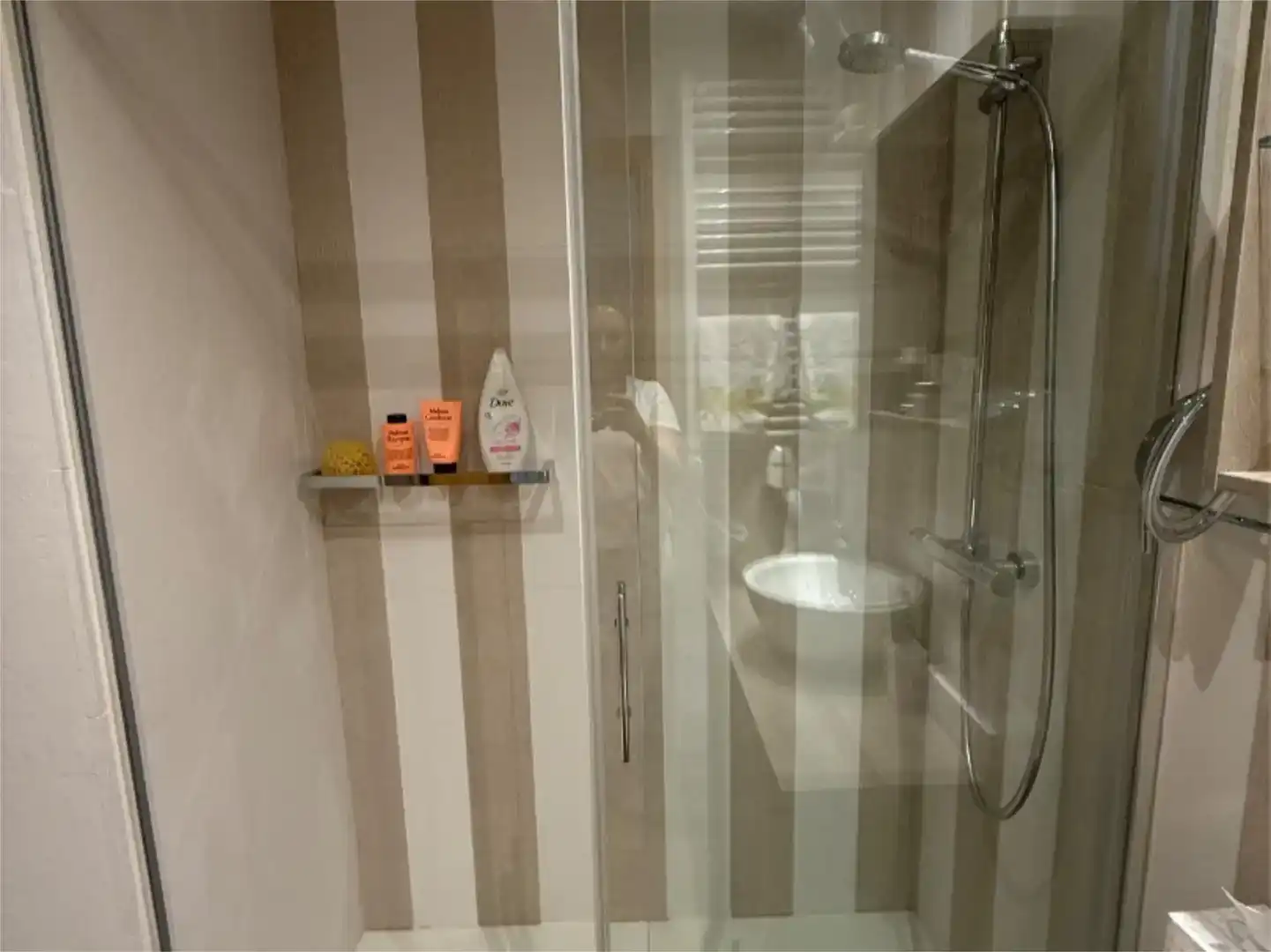 Baño de Dúplex en venta en Sierra Nevada