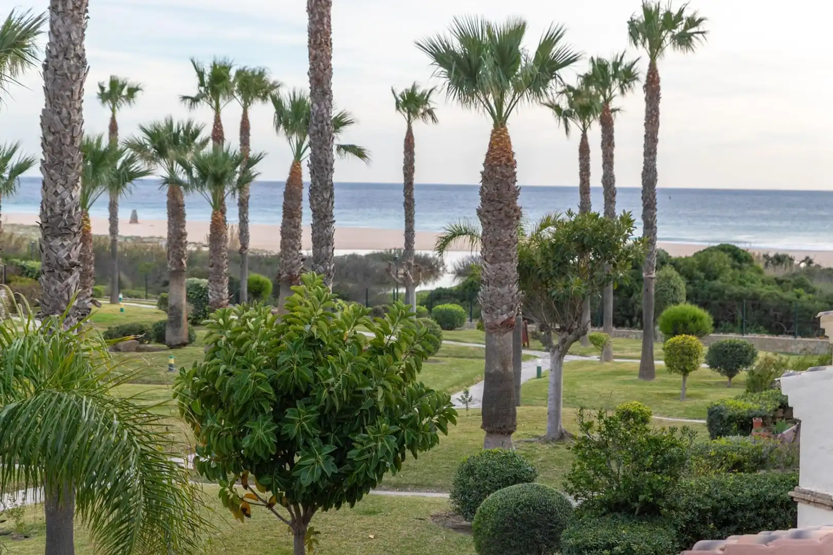 Garden of Houses for sale in Zahara de los Atunes  with Private garden, Terrace and Furnished