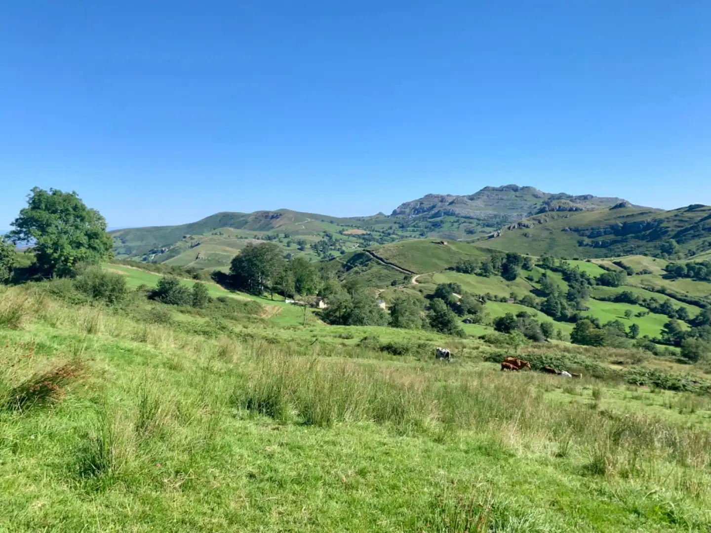 Casa o chalet en venta en San Roque de Riomiera con Jardín privado