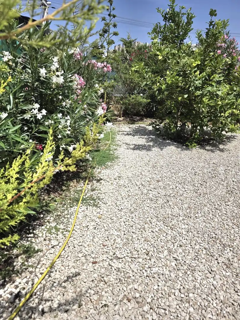 Jardí de Casa o xalet en venda en Torrevieja amb Aire condicionat, Jardí privat i Terrassa