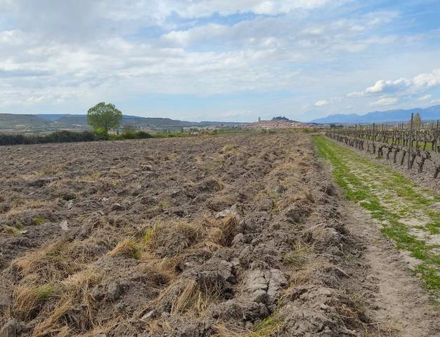 Terreno en Venta en Navarrete