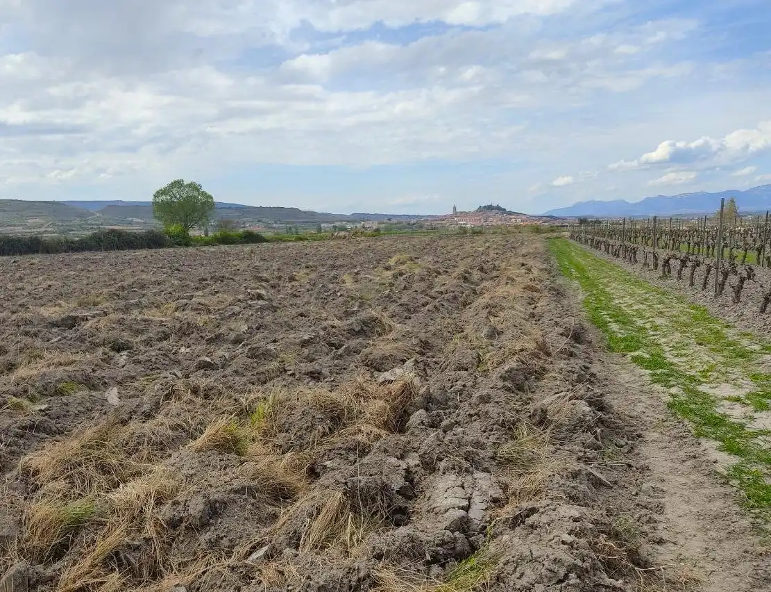 Terreno en venta en Navarrete