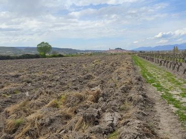 Rustikales Grundstück zum Verkauf in Navarrete