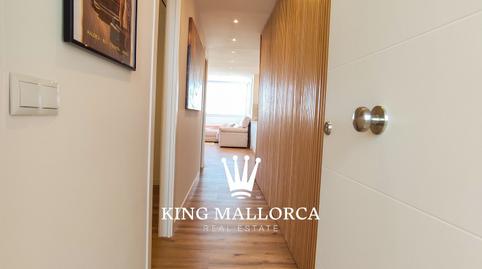 Foto 3 de Apartamento de alquiler en Punta Ballena, Magaluf, Calvià